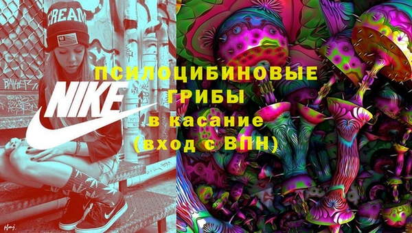 амф Белокуриха